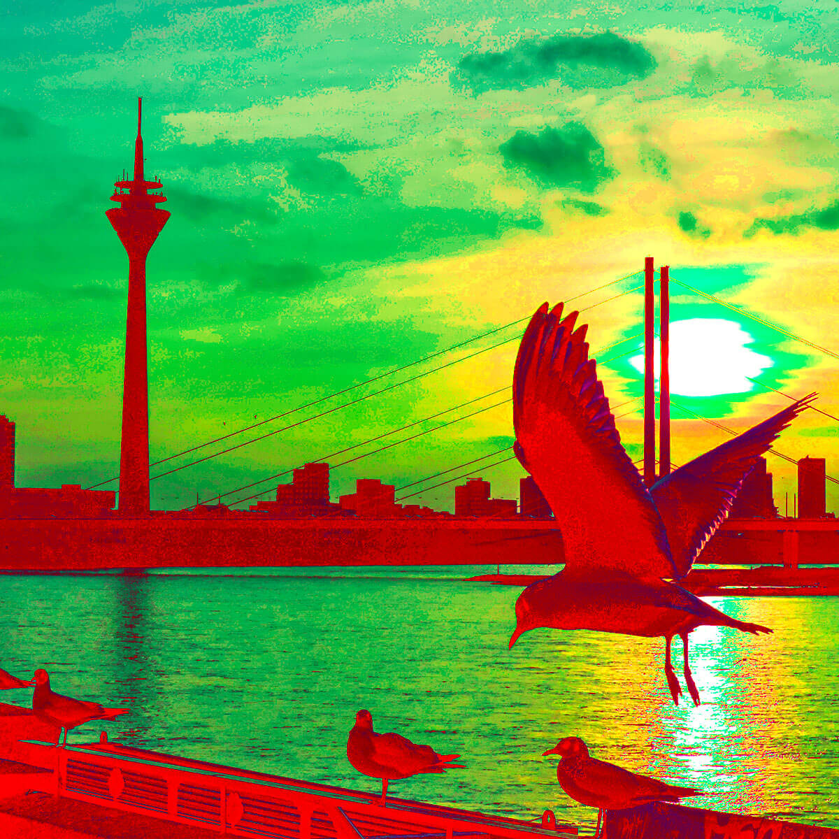 Düsseldorf Popartbild Sonnenuntergang mit Rheinkniebrücke, Rheinturm und Möwen