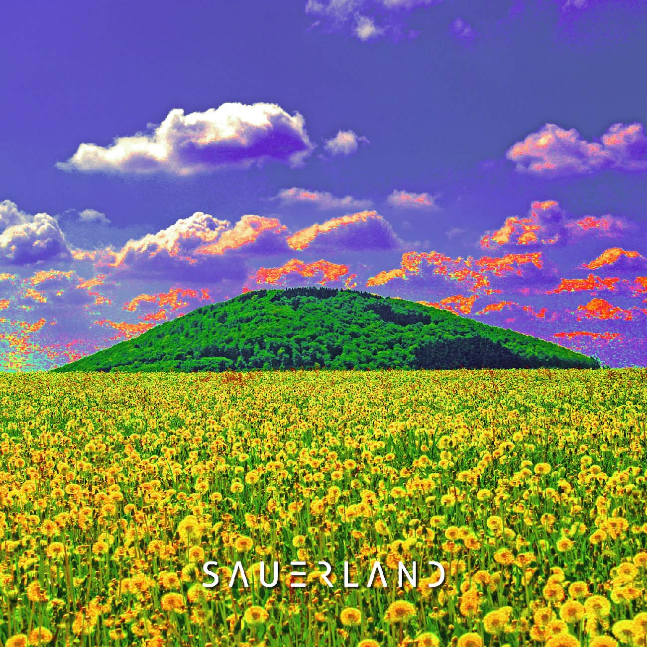 Popart Bild "Wilzenberg"