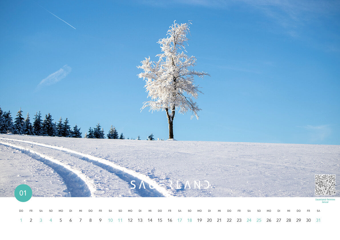 Sauerland Kalenderblatt Januar 2026. Zus ehen ist ein alleinstehender Baum mit gefrorenen Ästen, der in einer fast unberührten Schneelandschaft steht. Von unten nach links ist eine frische Fahrspur im Schnee zu sehen.