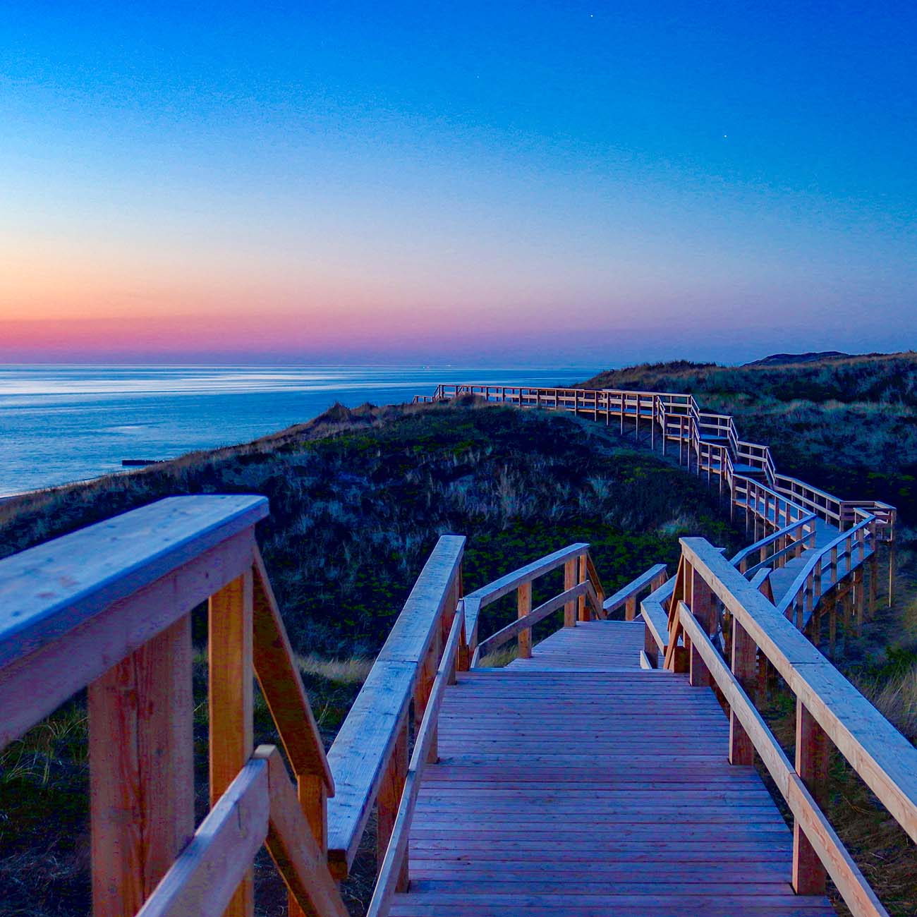 Holzsteg in den Sylter Dünen nach dem Sonnenuntergang. Sowohl der Himmel als auch der Steg sind in blau gefärbt. Ein Streifen am Himmel leuchtet in gelb und rosa.