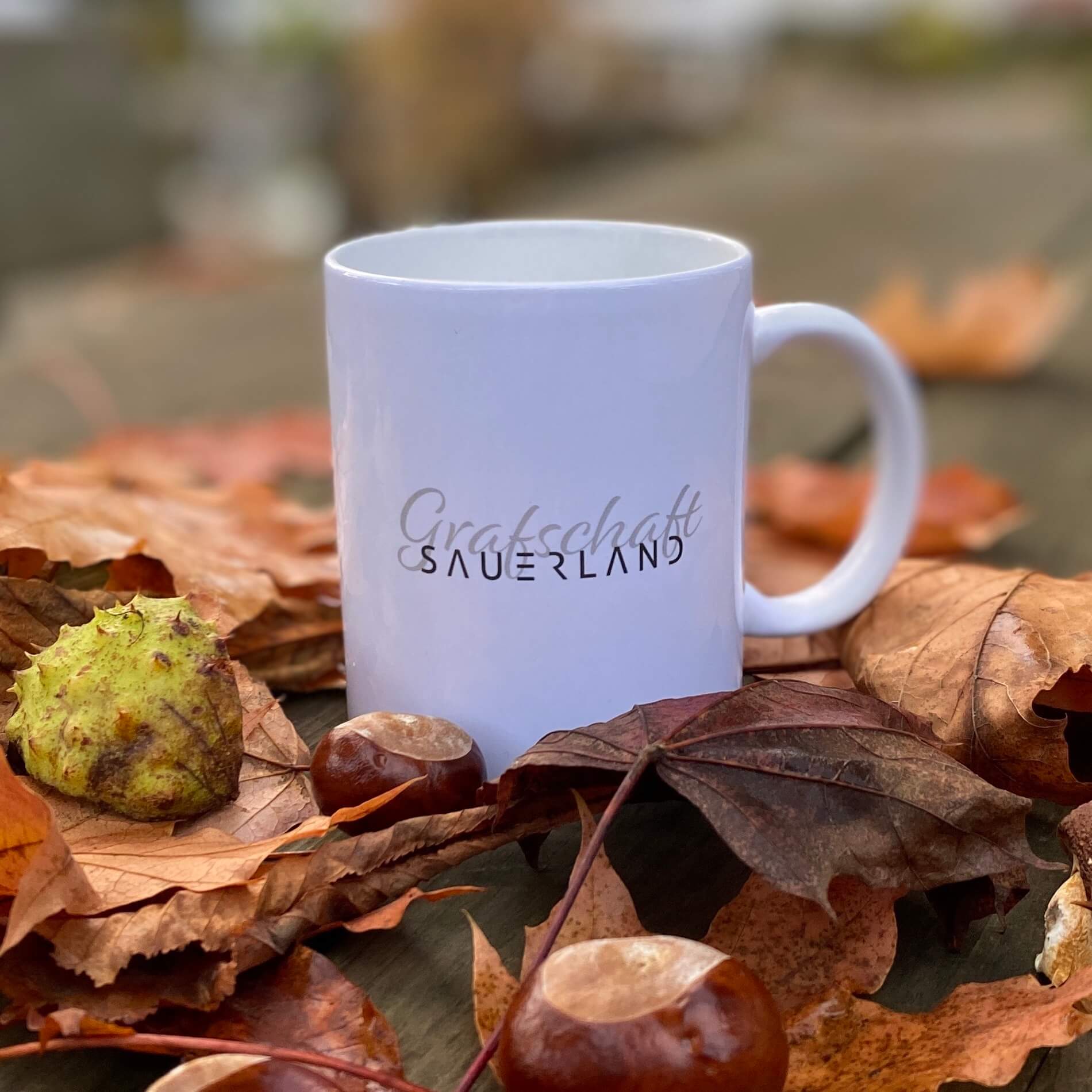 SAUERLAND Dorfbecher 2.0 –