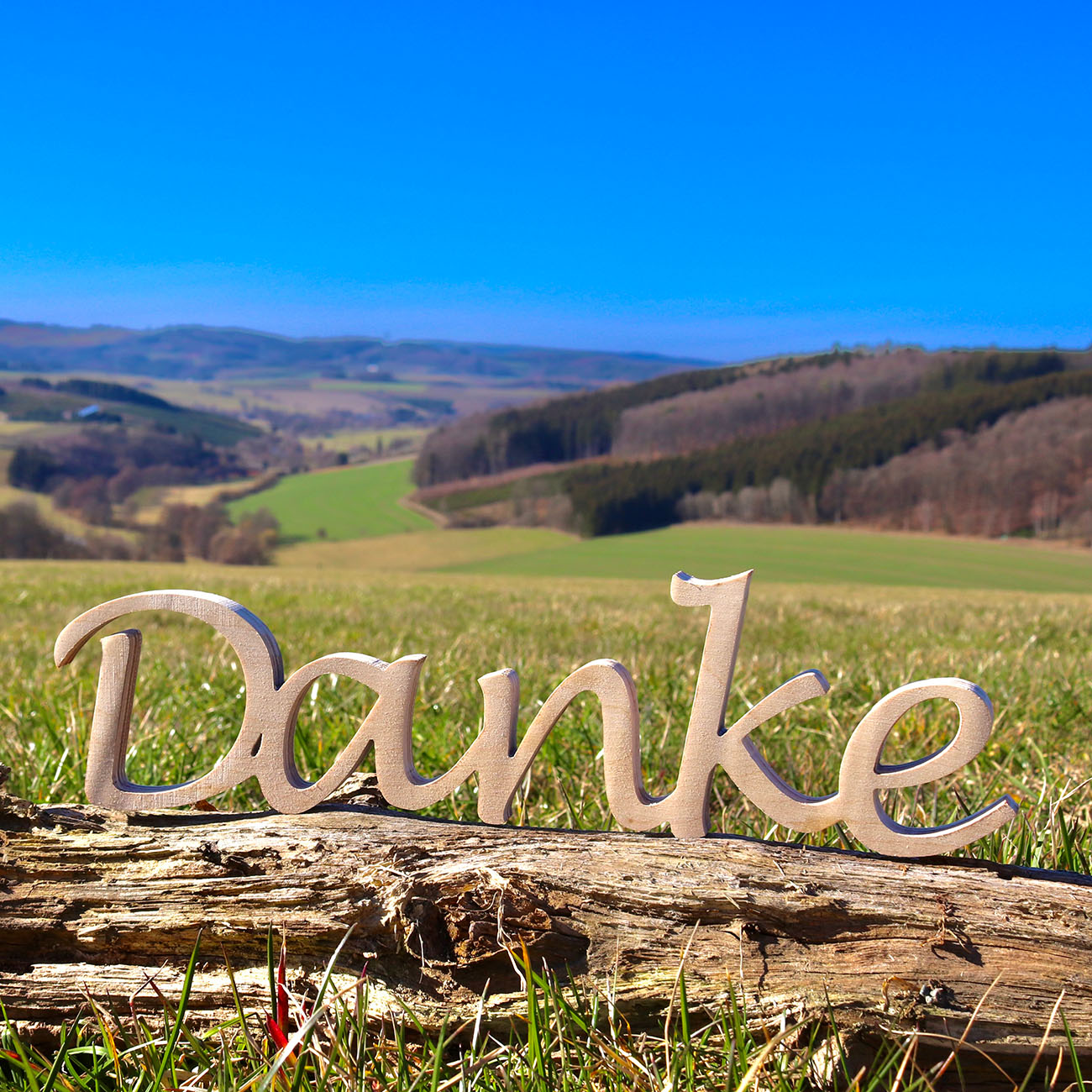 Danke Holzschriftzug