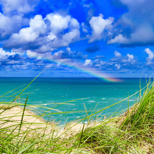 Das rd-pictures Motiv "Rainbow" zeigt einen Regenbogen über der Nordsee. Im Vordergrund sieht man Sand mit Dünen und im Hintergrund die Türkise Nordsee und einen bewölkten, blauen Himmel.